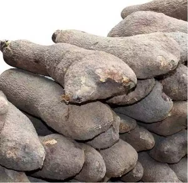 Chai! For Stealing 160 Tubers of Yam, Read What Happened to a 25-year-old Man in Abuja